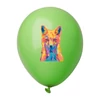 Kép 2/3 - CreaBalloon léggömb